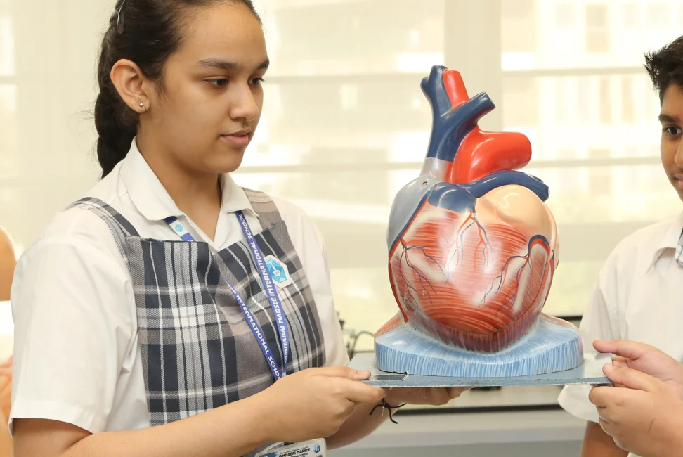 JNIS learning pathway