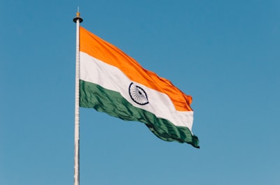 Independence Day Flag